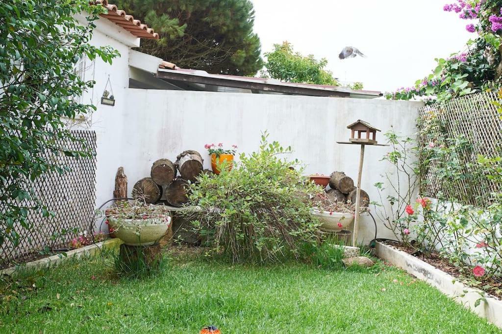Villa Beija-Flor House Ribamar  Esterno foto