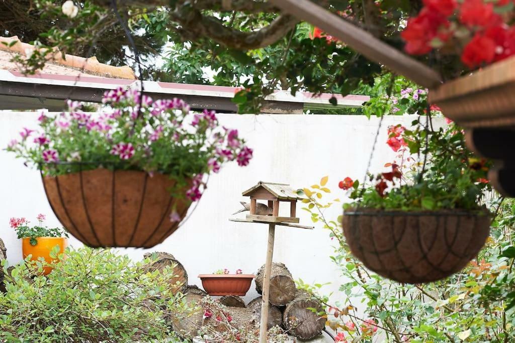 Villa Beija-Flor House Ribamar  Esterno foto